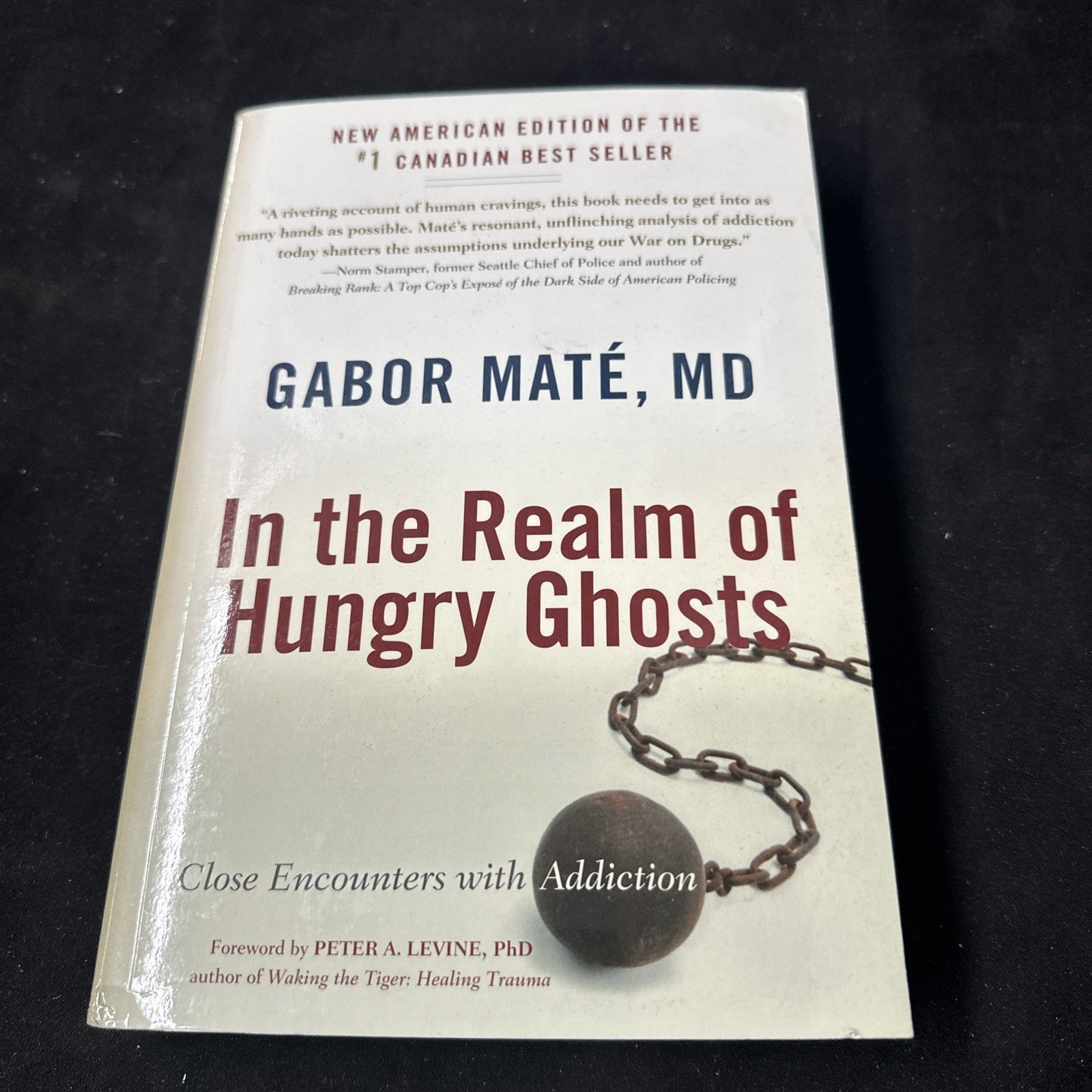 In the Realm of Hungry Ghosts : Close Encounters with Addiction by Gabor Maté