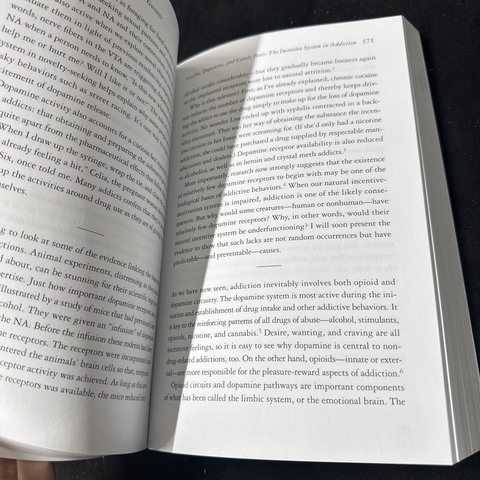 In the Realm of Hungry Ghosts : Close Encounters with Addiction by Gabor Maté