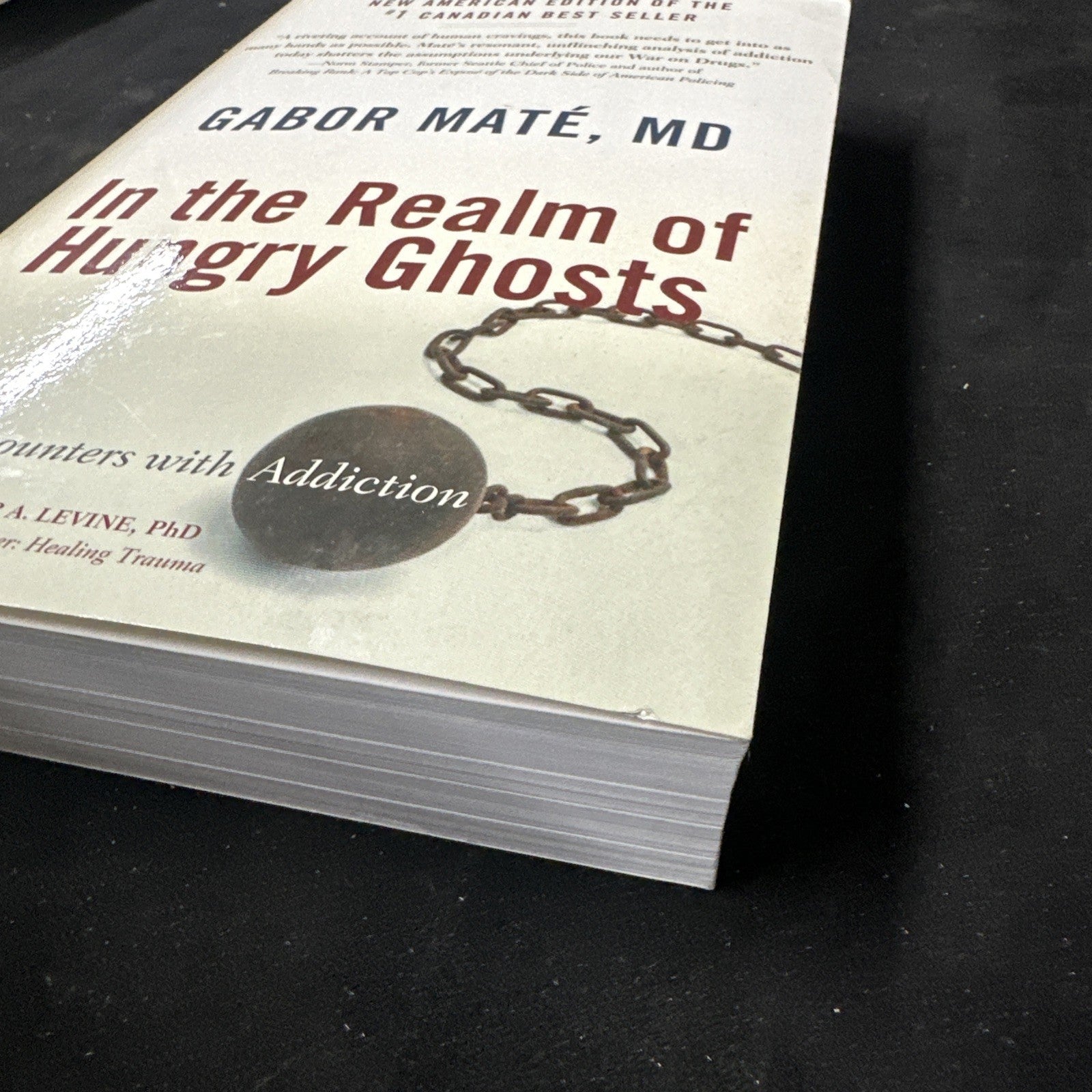 In the Realm of Hungry Ghosts : Close Encounters with Addiction by Gabor Maté