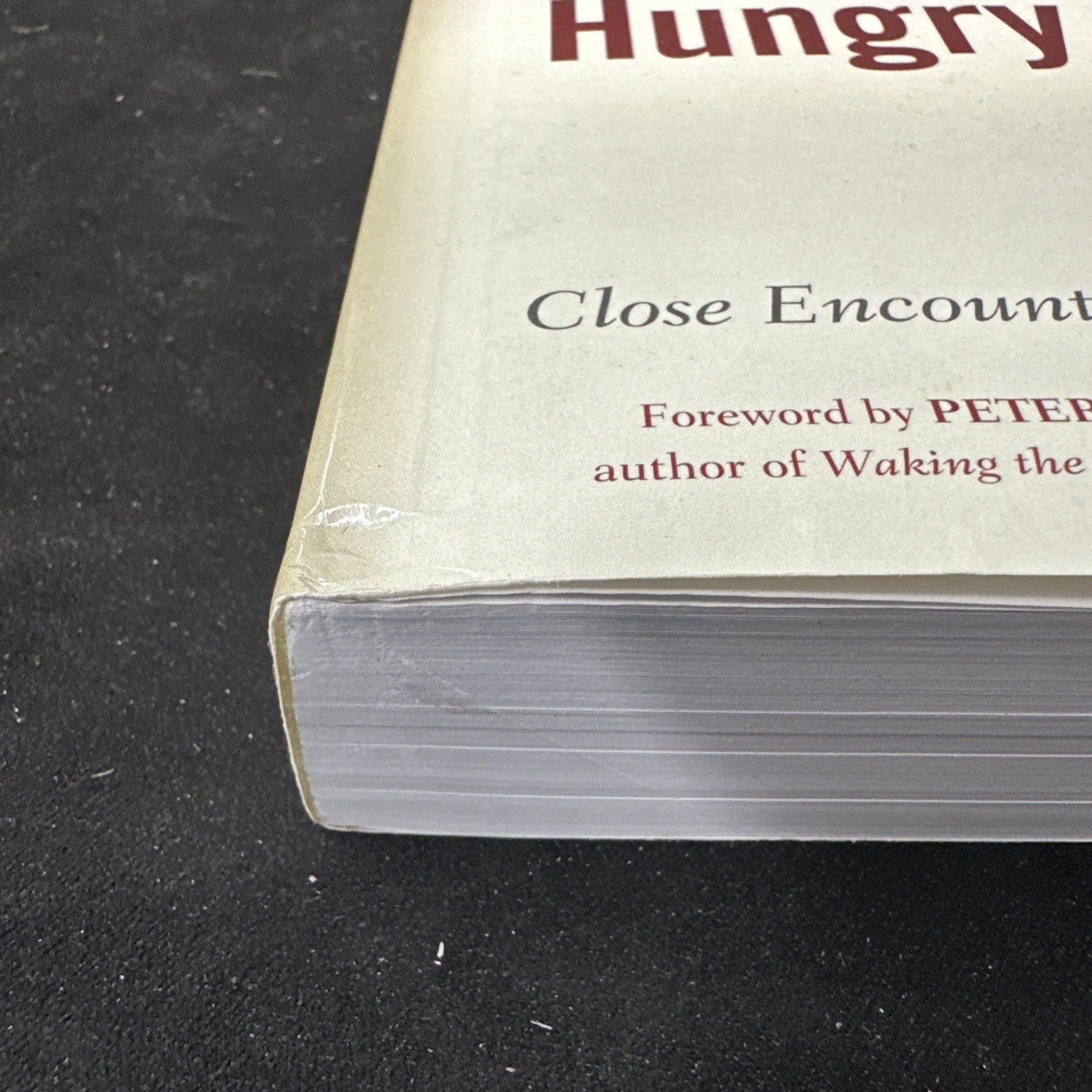 In the Realm of Hungry Ghosts : Close Encounters with Addiction by Gabor Maté