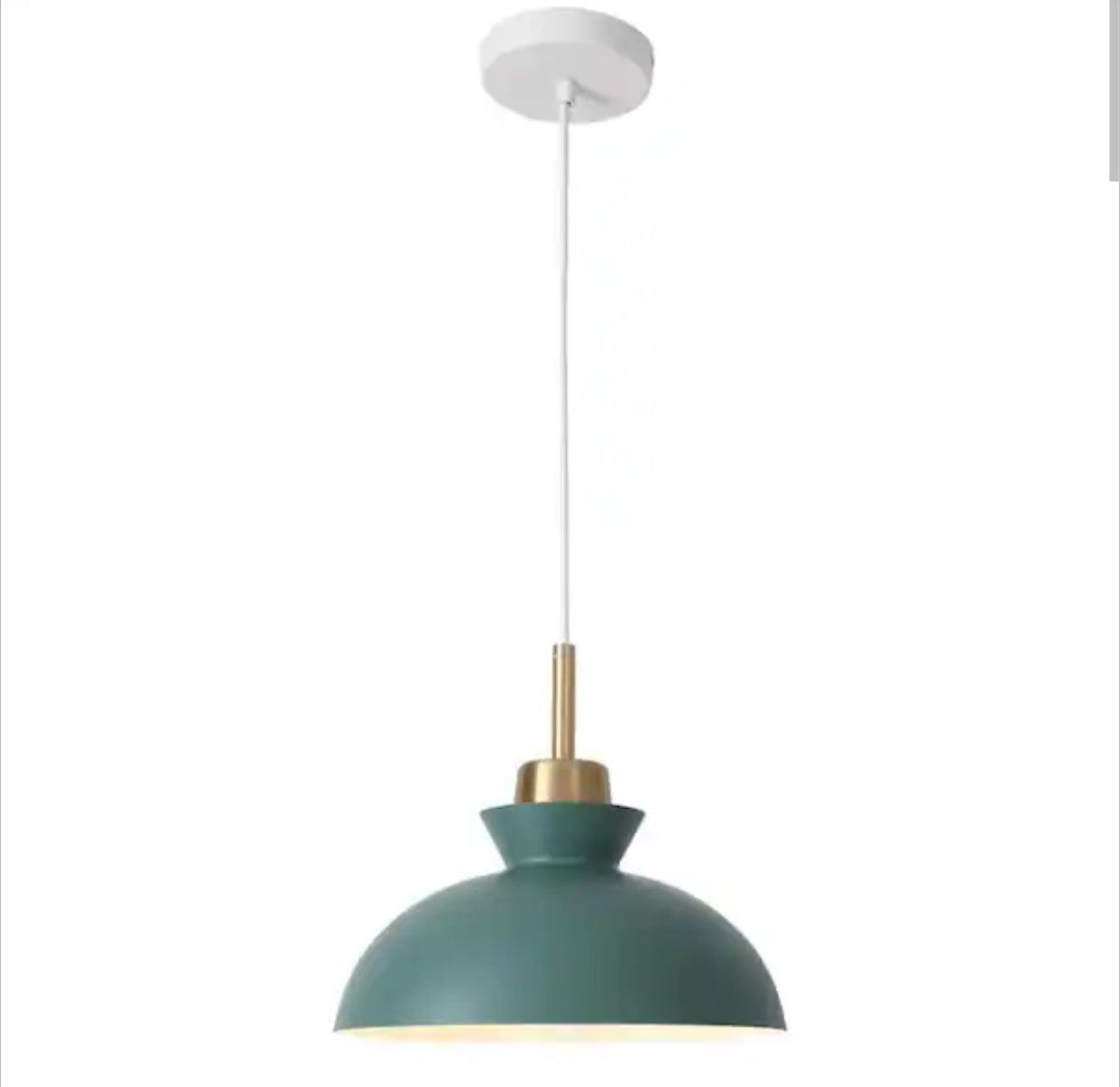 ZJVAIVE 1-Light Metal Hanging Ceiling Pendant Light Chandelier Light Fixture 14C