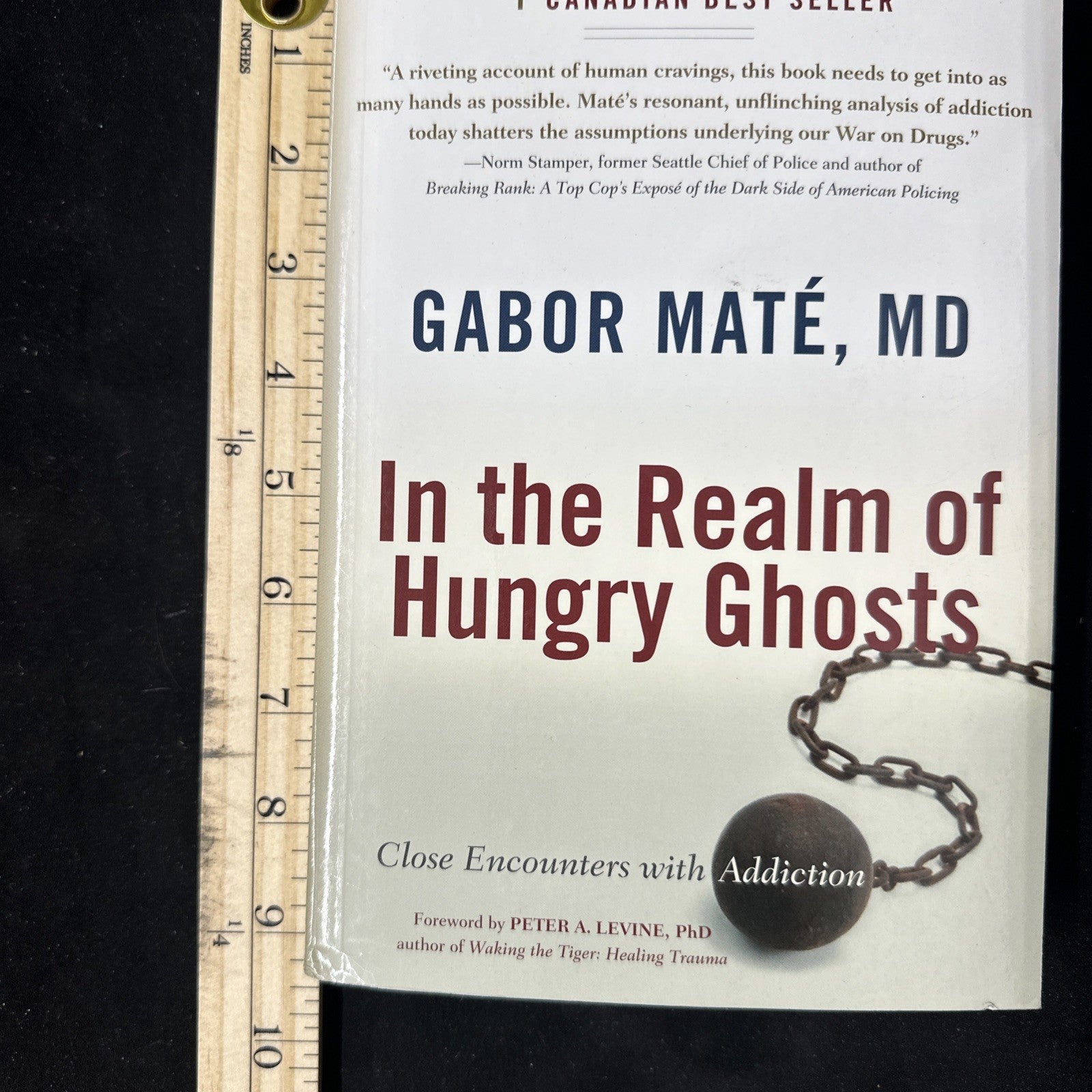 In the Realm of Hungry Ghosts : Close Encounters with Addiction by Gabor Maté