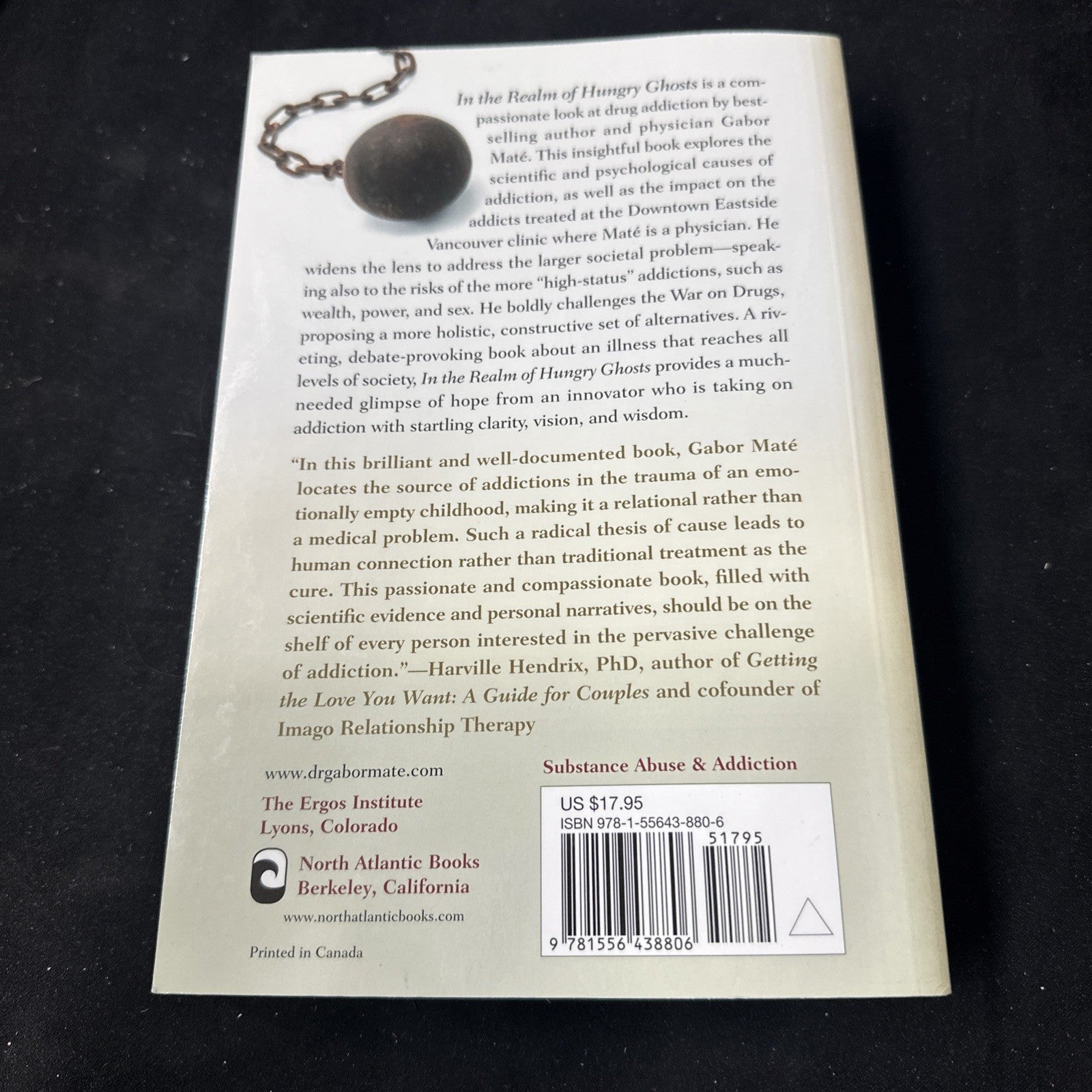 In the Realm of Hungry Ghosts : Close Encounters with Addiction by Gabor Maté