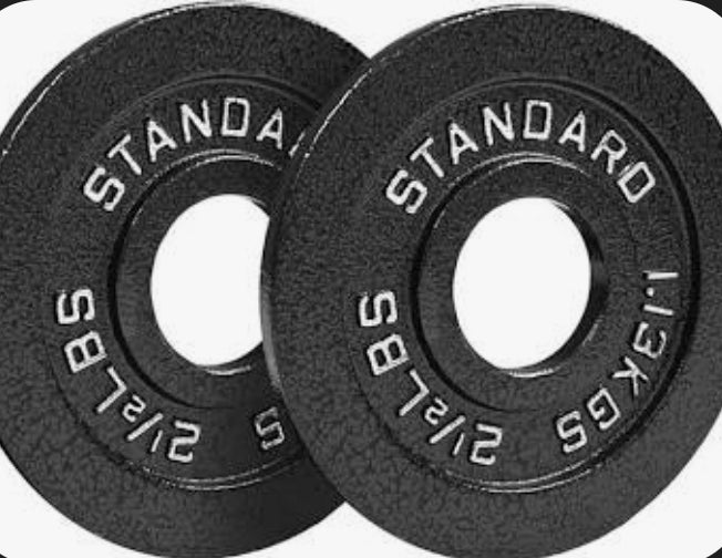 Two 2.5LB Weight Plates