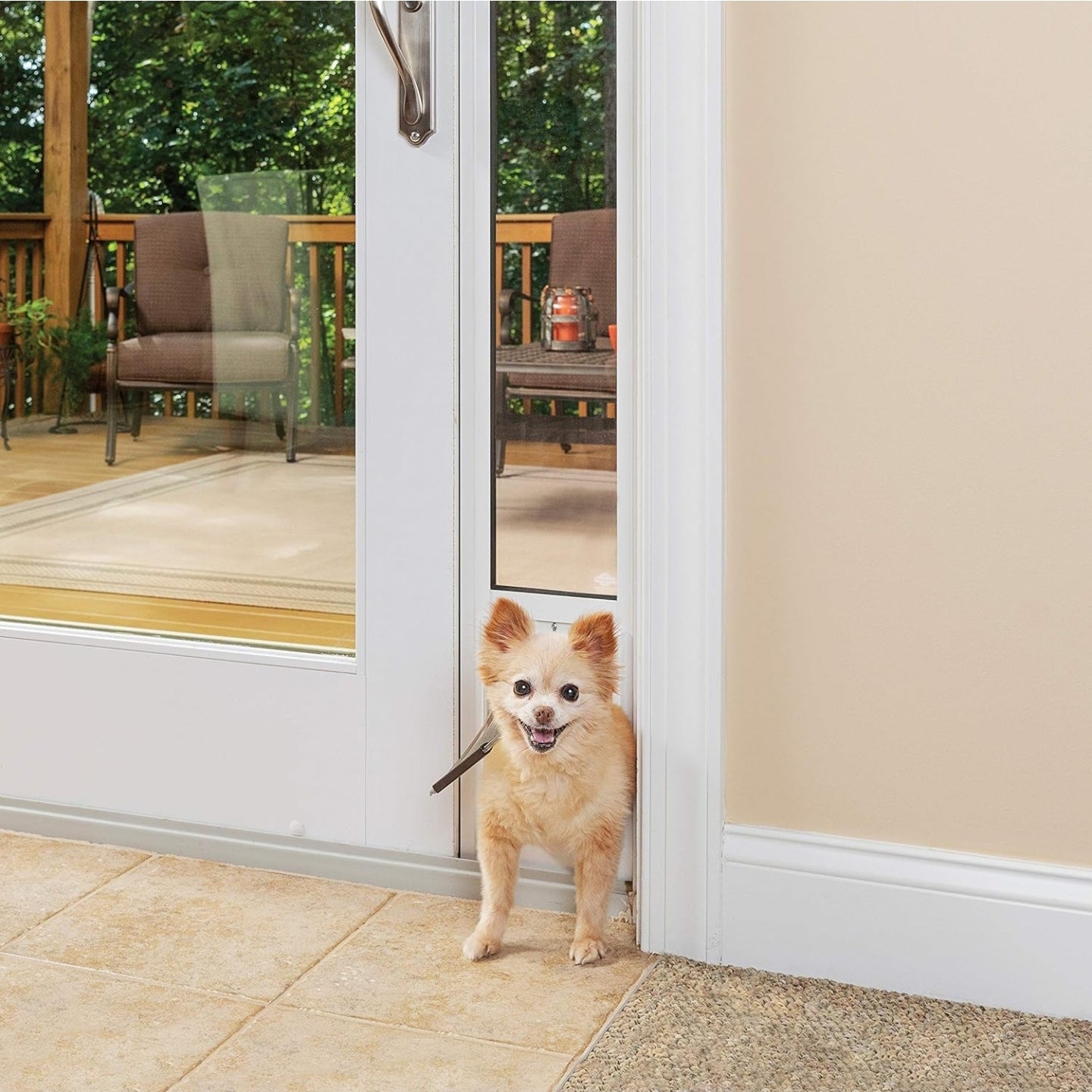 PetSafe Doggy Door for Sliding Glass Doors, Adjustable Height 75 7/8" to 81", No-Cut DIY Install, Aluminum Panel, Ideal for Renters, for Cats and Small Dogs Up to 15 lb, (White, Small)