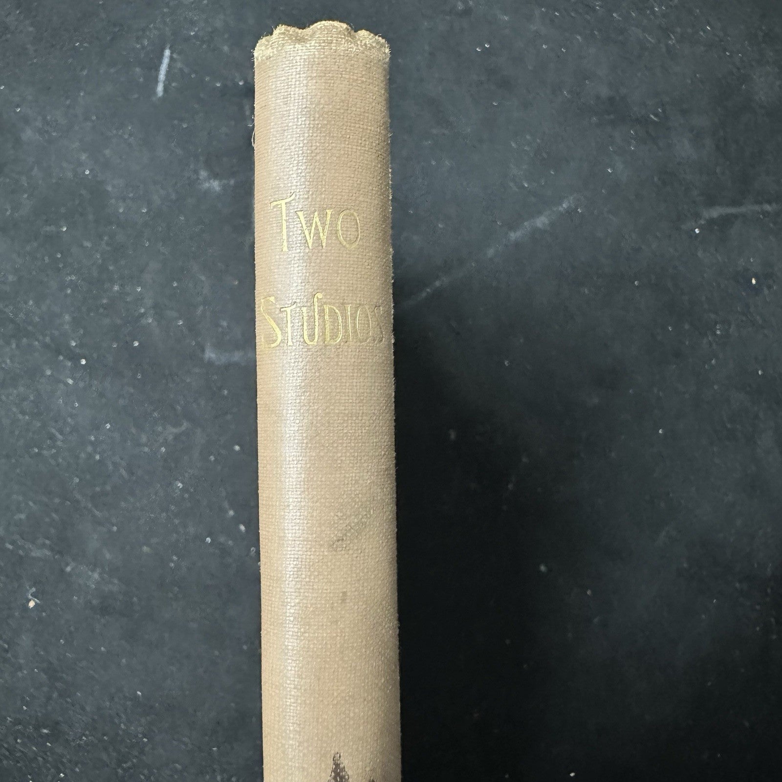 Antique Two Studios By Frances Mary Peard Hardcover Book Romance Novel 10c