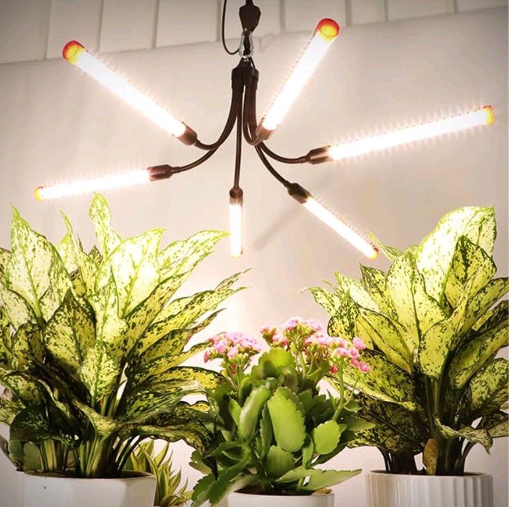 Clip Grow Lights for Seed Starting with Timer, Growing Lamps for Plants 7E