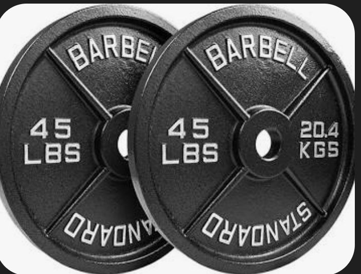 Two 45LB Plates