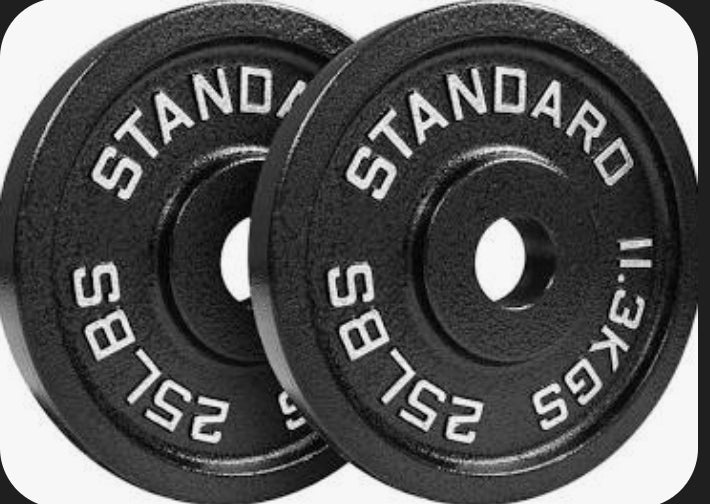 Two 25LB Weight Plates