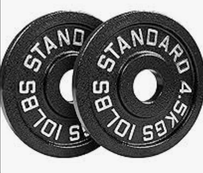 Two 10LB Weight Plates