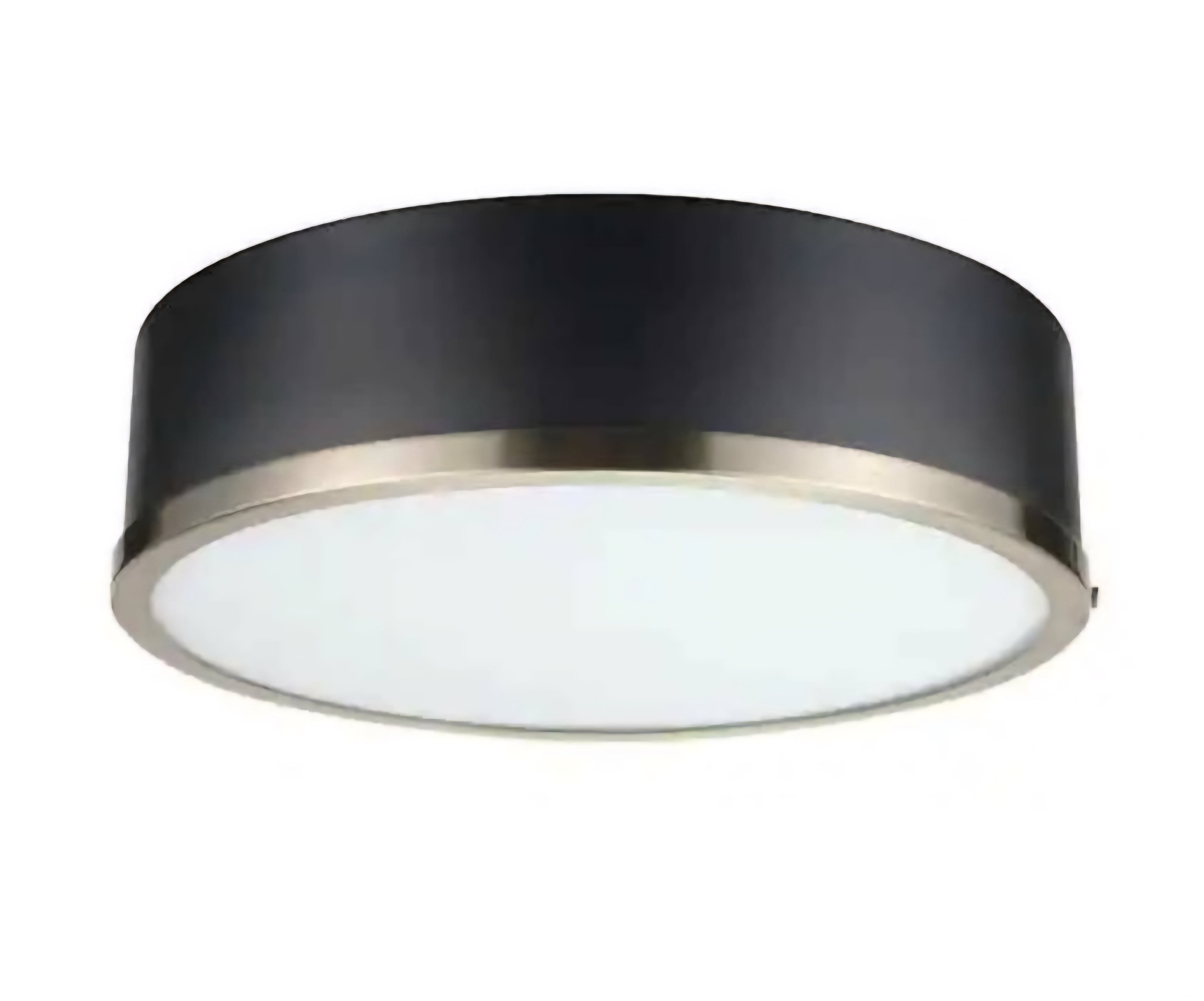 Black Flush Mount Ceiling Light